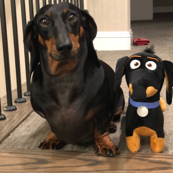 Meet your Posher, Tina🌺 - Picture 2 of 7